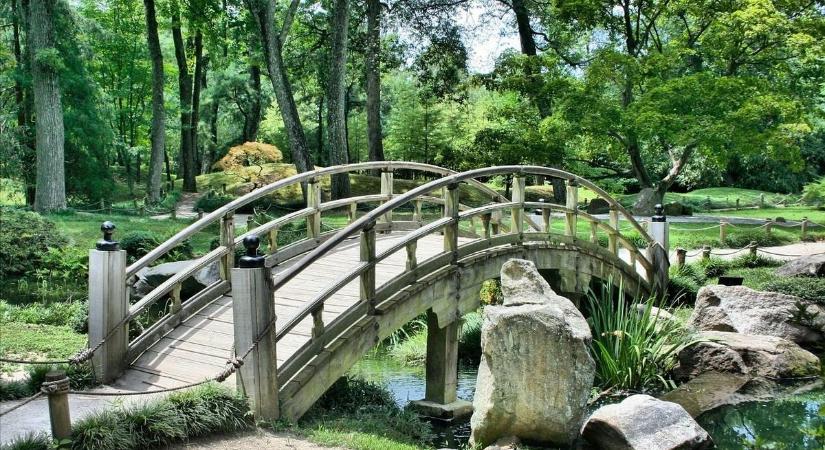 Áll hát a kertben, és vár – Jézus születésére