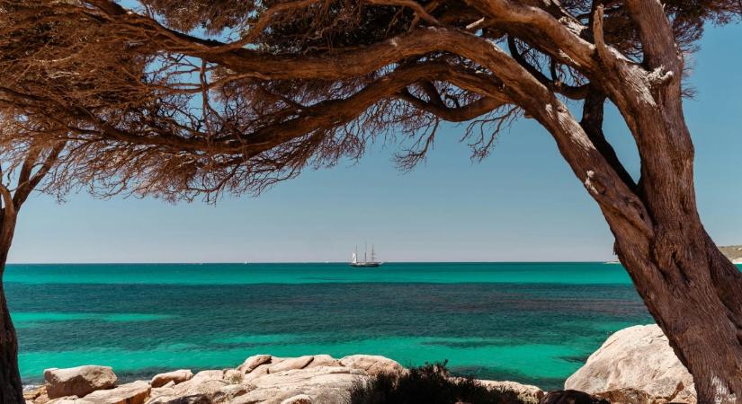 Így érkezik meg a longevity az ingatlanpiacra