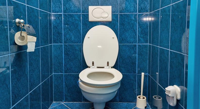 Ezért kell lehajtani a wc-ülőkét mindig, tudósok iszonyatos dolgot mutattak