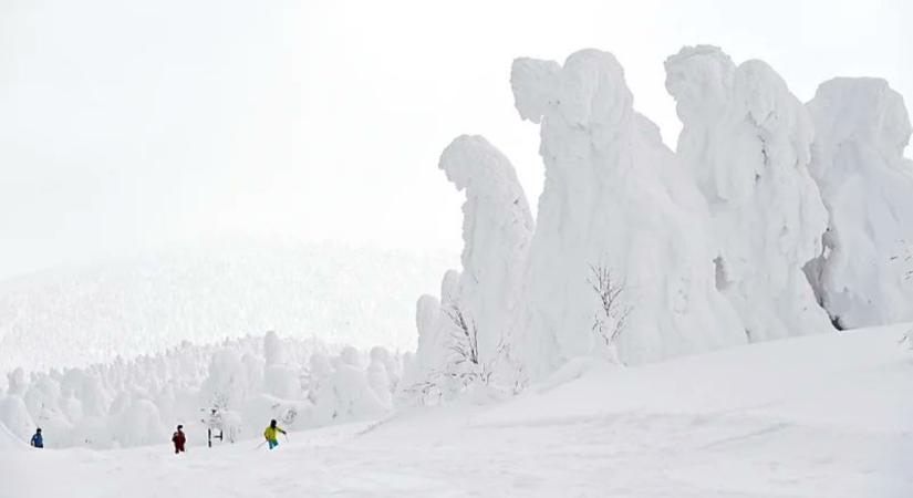 Drámai küzdelem folyik Japánban a híres hegyi rémek megmentéséért