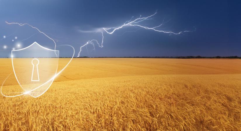 „Fél óra alatt tönkrement a termés” – a biztosítás mentette meg a gazdát