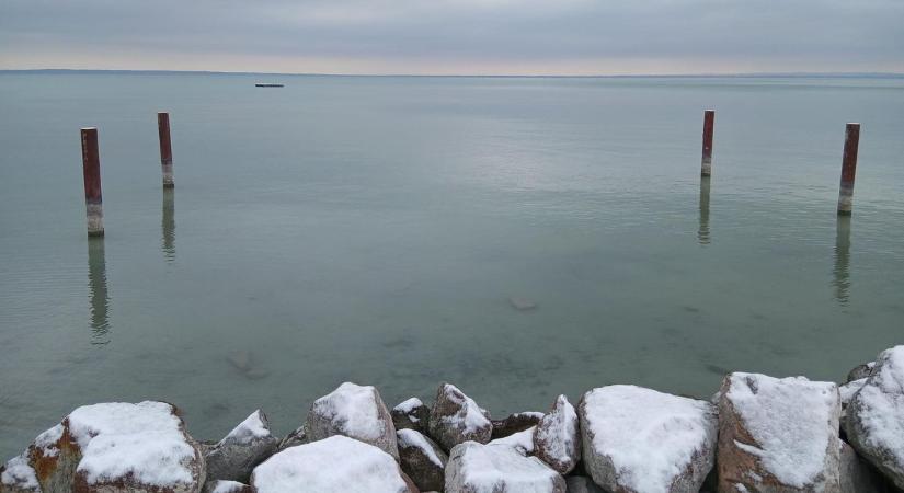 Veszélyes fajok közelítenek a Balatonhoz: kígyófejű halat is találtak