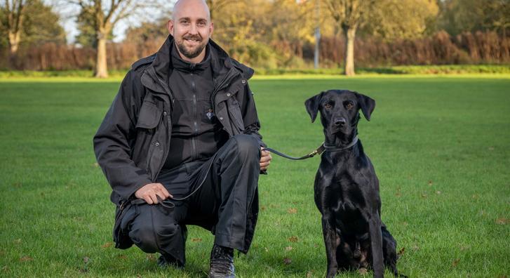 Rekordteljesítmény: a hároméves labrador mindenkit legyőzött a drogkereső versenyen