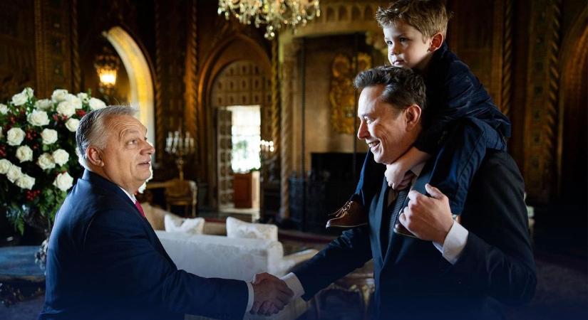 Elon Musk egyetlen mondattal osztotta meg Orbán Viktor bejegyzését: felrobbantotta az X-et