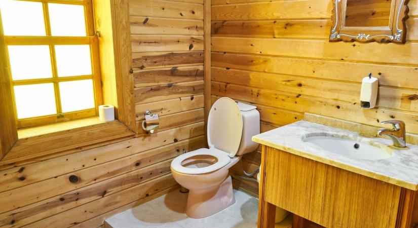 WC-tető: nyitva vagy csukva? Itt a végleges válasz, amit egy mikrobiológus súg meg