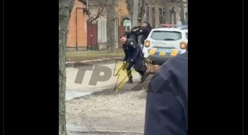 Brutális videó: az utcáról rabolták volna el a férfit a sorozók, de a pitbullja nem kegyelmezett nekik