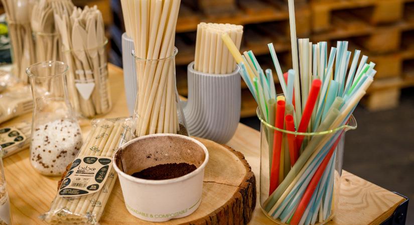 Bibo/Cleaneco kvíz nyertesei