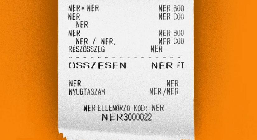 Mennyibe kerül nekünk a NER?