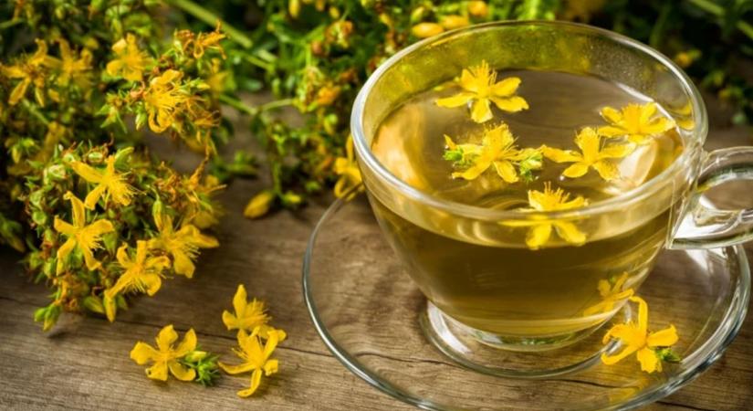 Orbáncfű: vigyázz vele, ha ezeket a gyógyszereket szeded