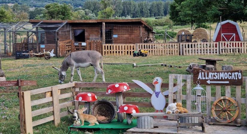 Varázslatos Mikulás-nap a Szent György-hegyi állatsimogatóban