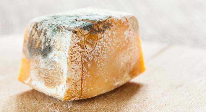 Biztonságos penészes sajtot enni?