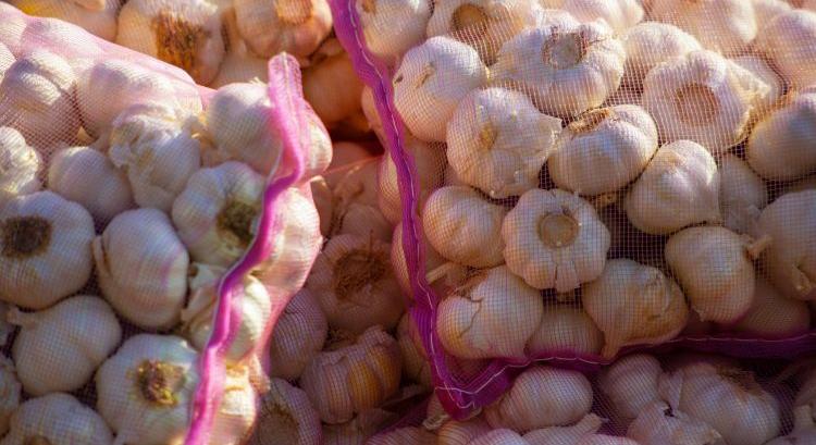 Leuralja az importfokhagyma Európát?