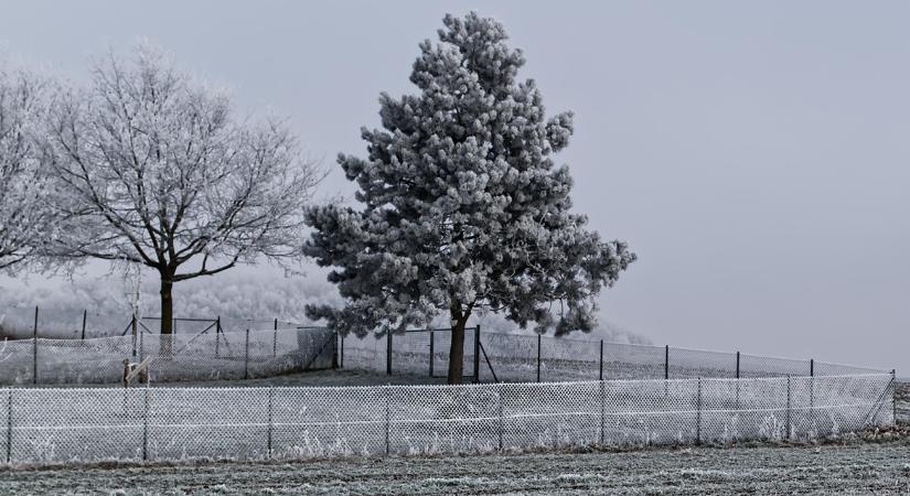 A 7 legfeleslegesebb téli kerti feladat – amit sokan mégis megcsinálnak
