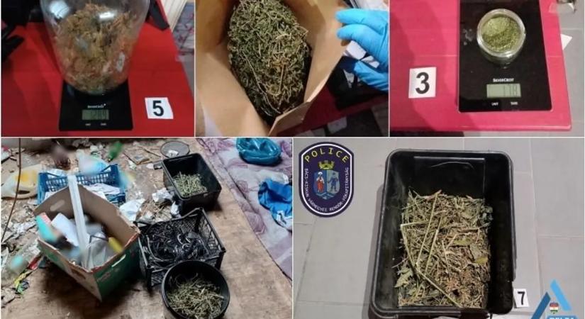 Nem bírt nemet parancsolni a vágyainak: otthon termesztette a drogot a 62 éves férfi