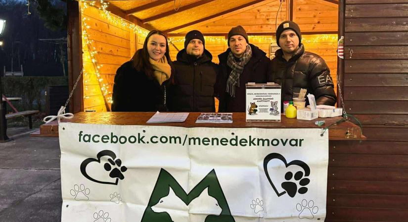 Állatok Karácsonya Mosonmagyaróváron: vásárolj fenyőt és segíts a mentett állatokon