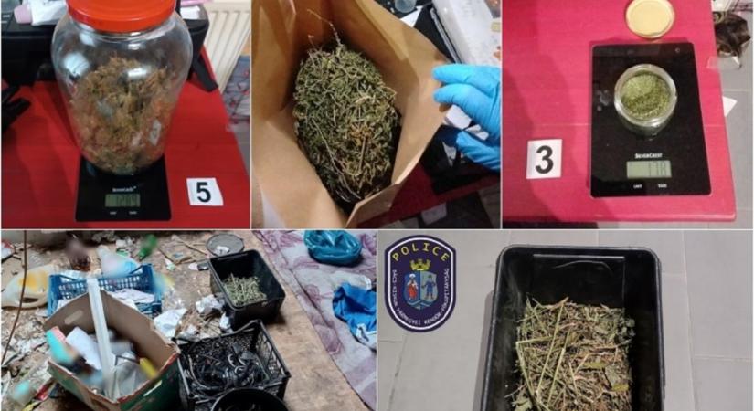 Próbált leszokni a drogról, de nem sikerült, ezért maga termesztette a marihuánát