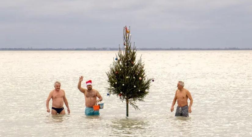 Karácsonyfát állítanak a Balatonba ezen a településen - fotó