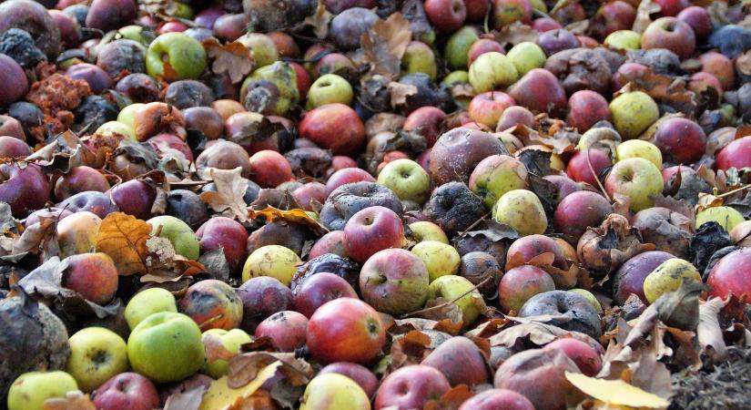 Frissített adatbázis segít nyomon követni az élelmiszercsalásokat