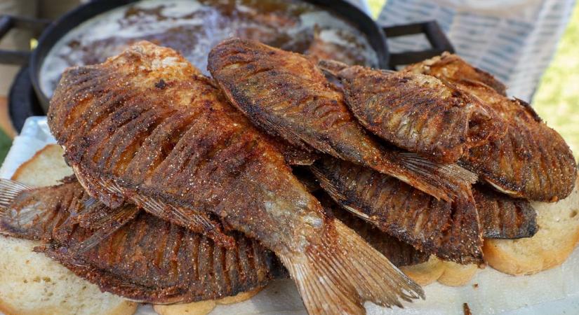 Ingyen lehet ízletes halat falatozni Pécsen – mutatjuk, hogy hol és mikor!