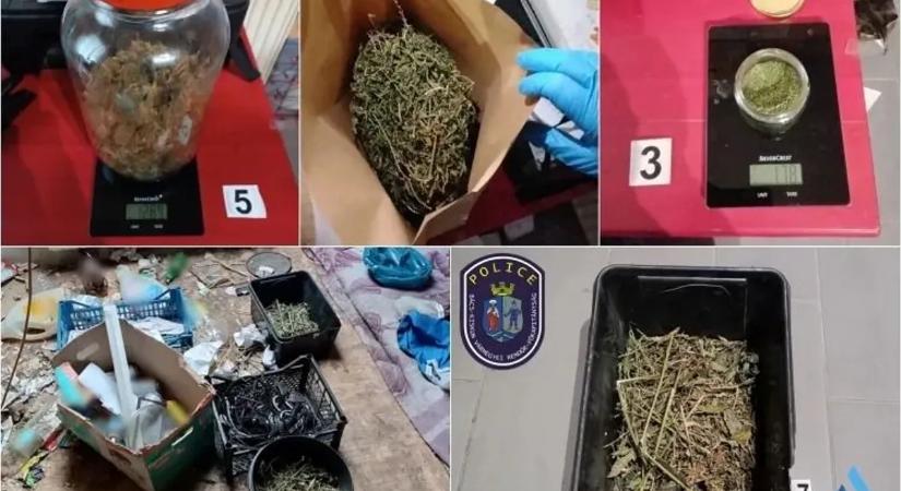 Nem tudott leszokni a drogról a 62 éves férfi, ezért otthonában termesztette