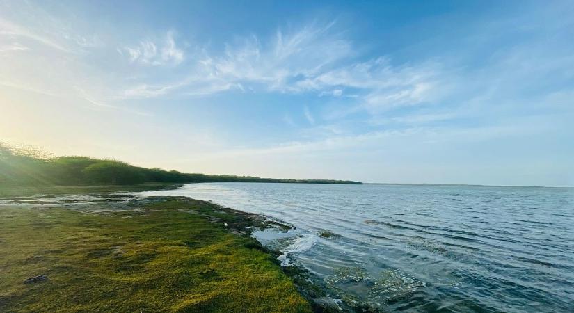 Vannak esték, amikor átalakul a világ