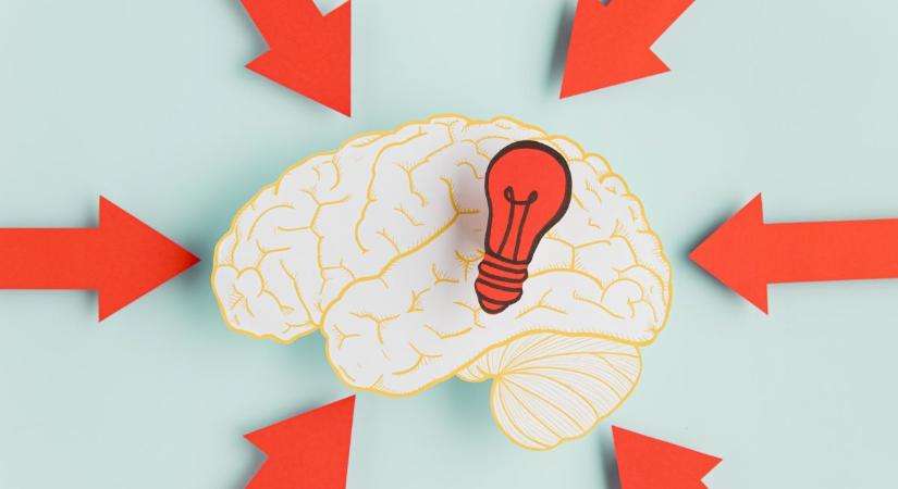 Hogyan tanul az agyad? – 5 tudományosan bizonyított trükk, amit érdemes ismerned