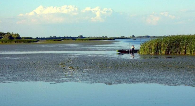 Videó! Megdöbbentő, mi nézett vissza a pecásra a szákból Hevesben – „gyerekek, én még ilyet nem láttam”