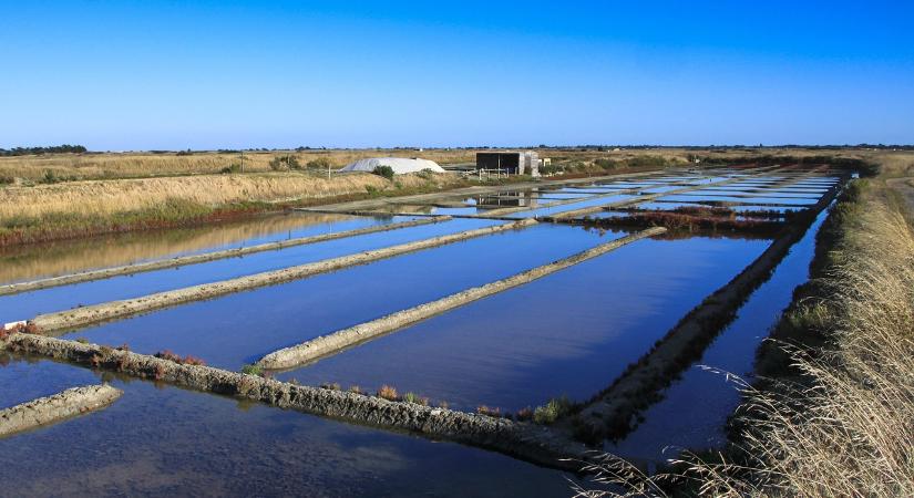 Újra egységes a Böddi-szik medre