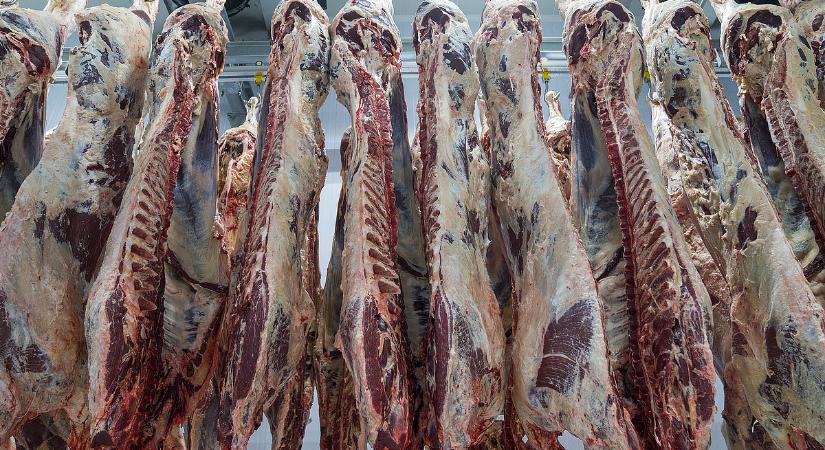 Éber volt a hatóság: tonnaszámra kellett lefoglalni a húst a határon