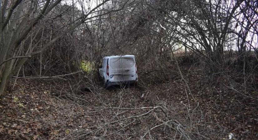 Az őzek megúszták, a furgon pedig új otthonra talált az erdőben