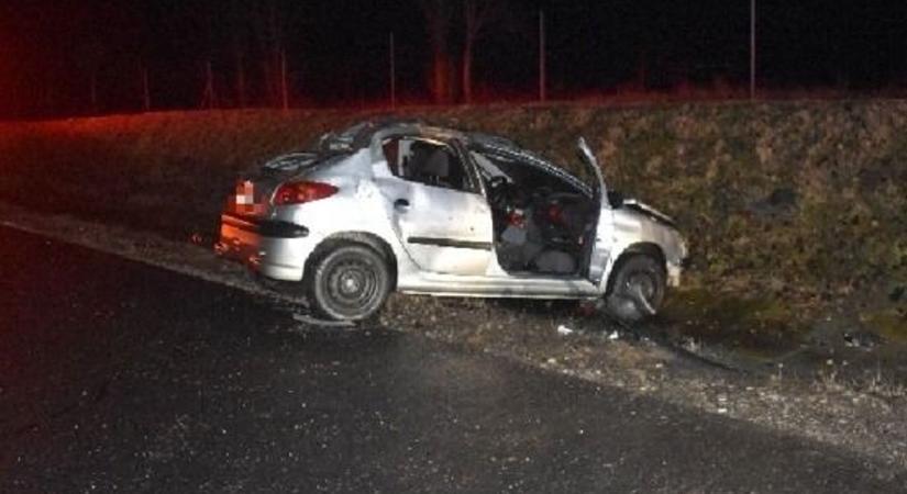 A róka megúszta az ütközést, de a Peugeot nem