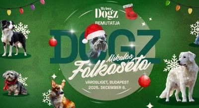 DOGZ Mikulás Falkaséta, 2025. december 6.
