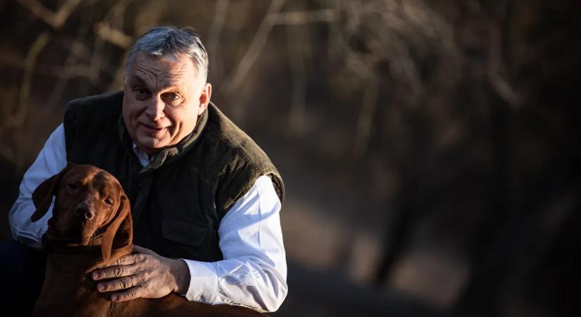 Kutyából nem lesz szalonna – Orbán Viktor a tiszás ebadóról