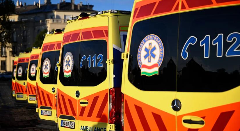 Senki sem hitte volna, hogy egy gyerek képes erre – de ő megtette