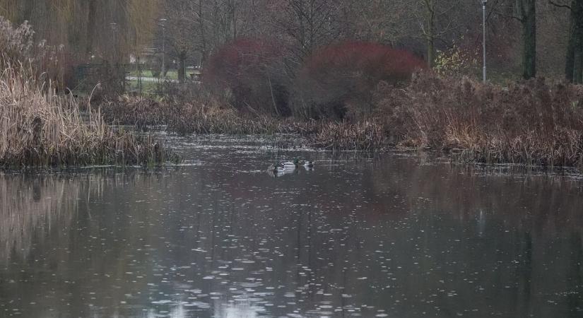 Borult, párás és hűvös délután vár Veszprémre – estére tovább romlanak a látási viszonyok