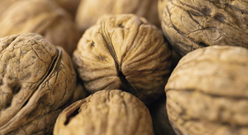 A növényi fehérjeforrások iránti kereslet hajtja a diófélék európai piacát