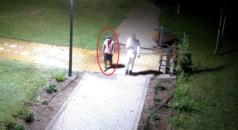 Hónapok óta nem adja ki társát egy hajdúhadházi tolvaj – videóval