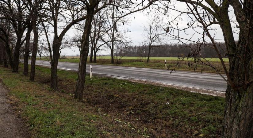 Szomorú eseménynek voltak tanúi a rendőrök a hétvégén