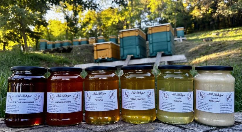 Év Kiváló Magyar Méze 2025: országos elismerésben részesült a tardosi Kiss Méhészet