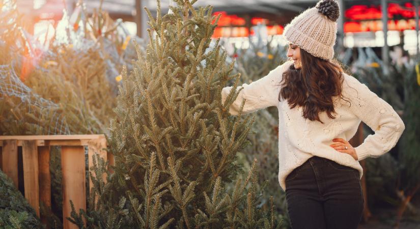 Kiderült, mikor érdemes megvenni a fenyőfát
