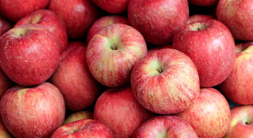 Valami nem stimmel ezzel a gyümölccsel: érdekes, ami a lengyeleknél folyik