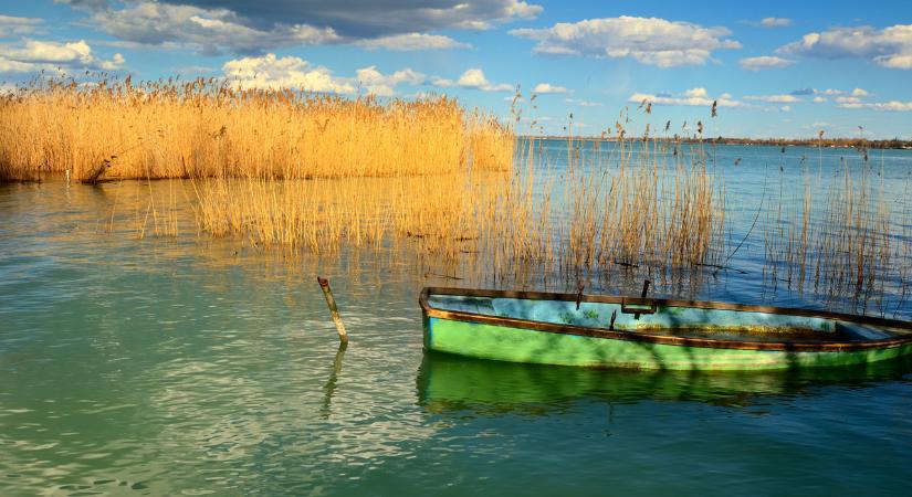Kevés volt az oxigén, fuldokoltak a halak a balatoni kikötőben