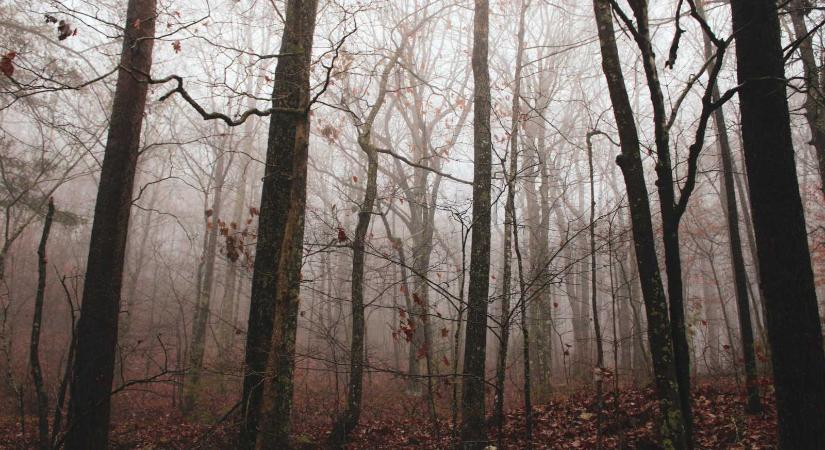 Kiadták a kéthetes időjárás-előrejelzést – Erre készüljünk december közepén