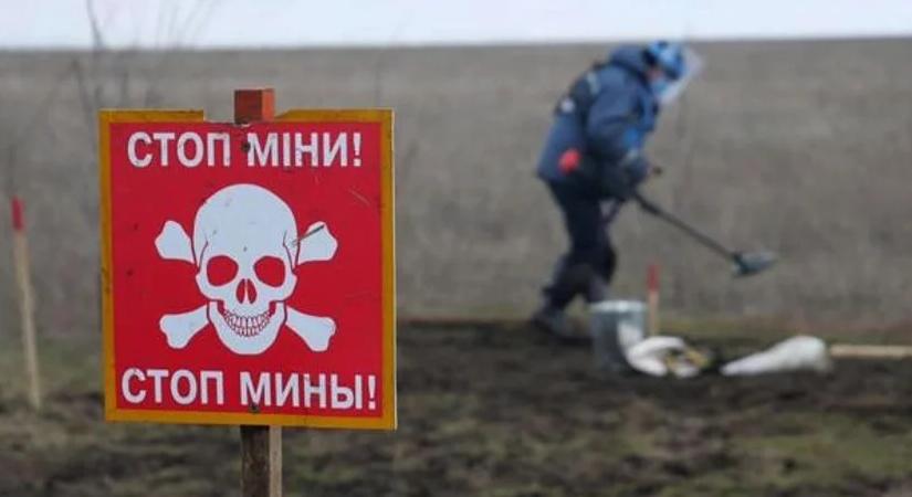 A aknamentesítésnek köszönhetően közel 10 ezer hektár mezőgazdasági terület került vissza a gazdákhoz