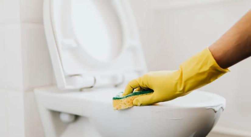 A takarítók trükkje, amit eddig titkoltak! Kétfilléres hozzávalótól eltűnnek a gusztustalan sárga WC-foltok
