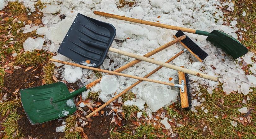 Ezeket ne hagyd a kertben télre – kártevőmágnes mind