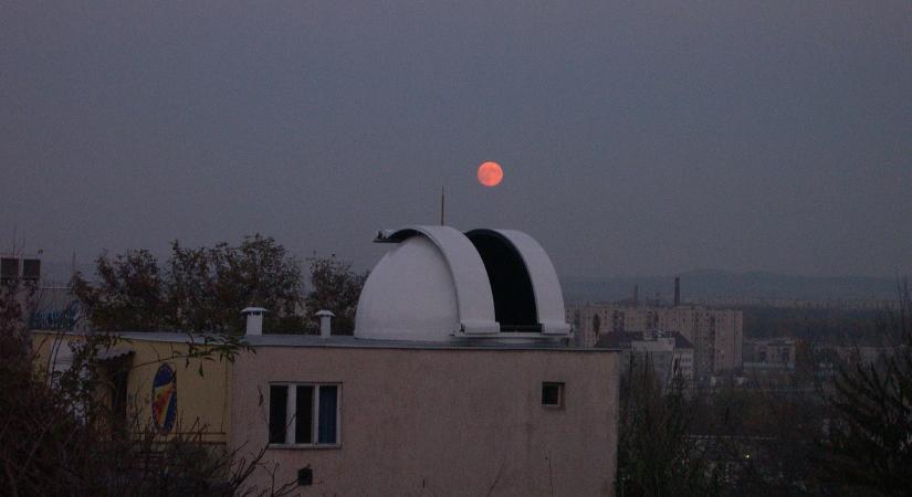 MCSE-tagságot karácsonyra!