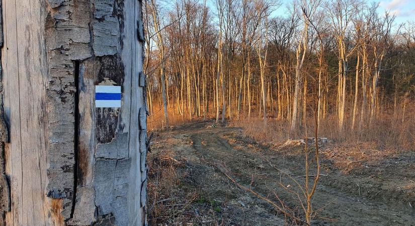 Egész napos lezárás a Kéktúrán: komoly meglepetés várja, aki ide indul!