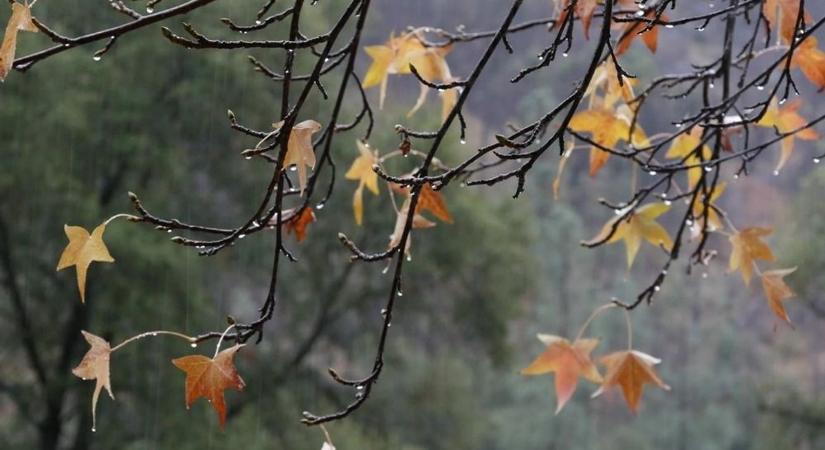 Erre nem számítottunk, mutatjuk milyen időjárás lesz holnap Szegeden!