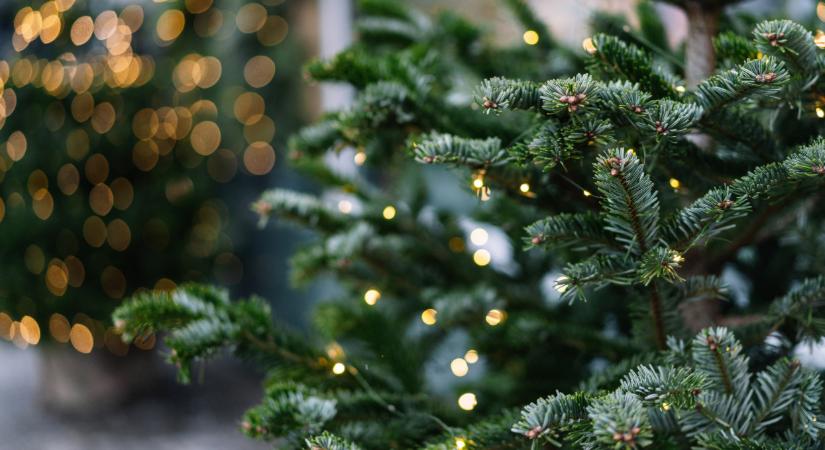 Sok magyar családban nem lesz szép az ünnep: rengetegen kuporgatással várják 2025 karácsonyát